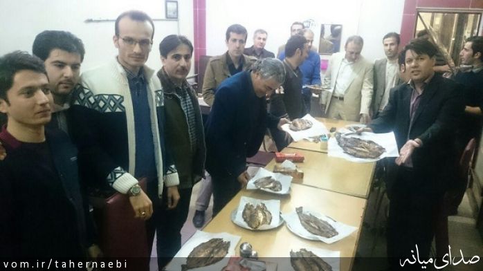 تصویر طاهر نائبی