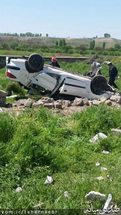 تصویر طاهر نائبی