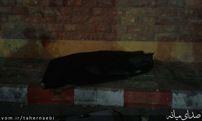 تصویر طاهر نائبی