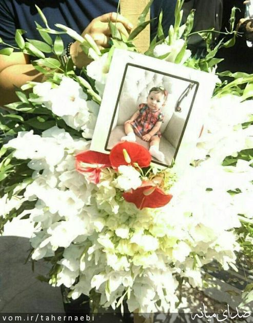 تصویر طاهر نائبی