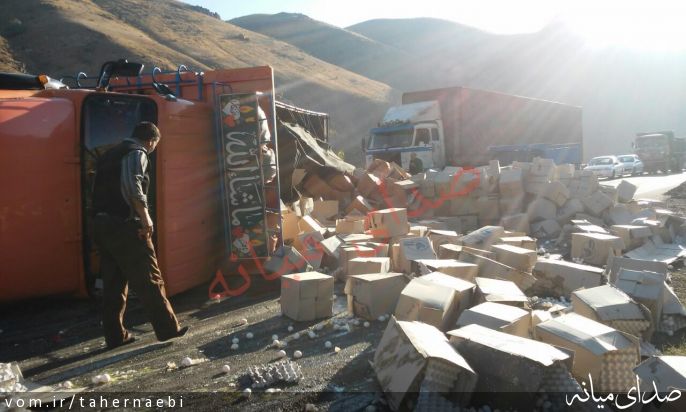 تصویر طاهر نائبی