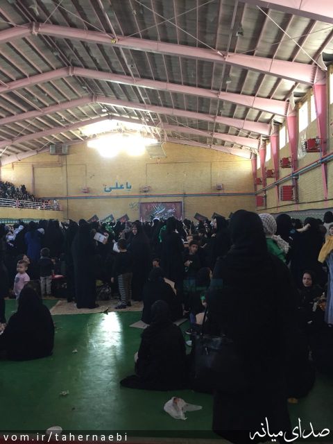 تصویر طاهر نائبی