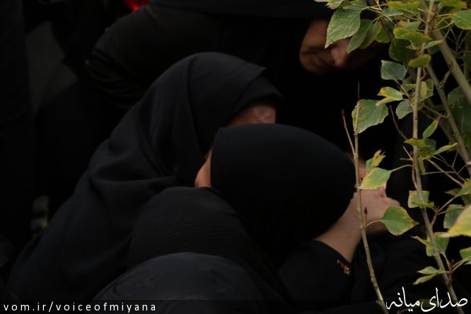 تصویر صدای میانه