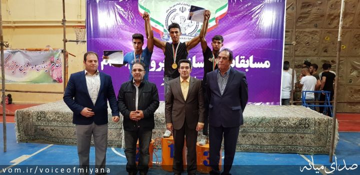 تصویر صدای میانه