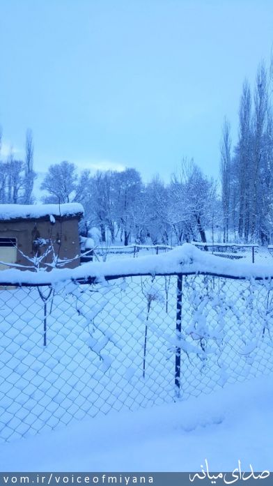 تصویر صدای میانه