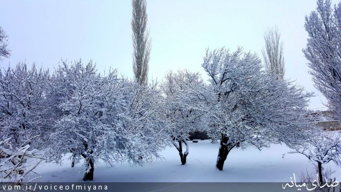 تصویر صدای میانه