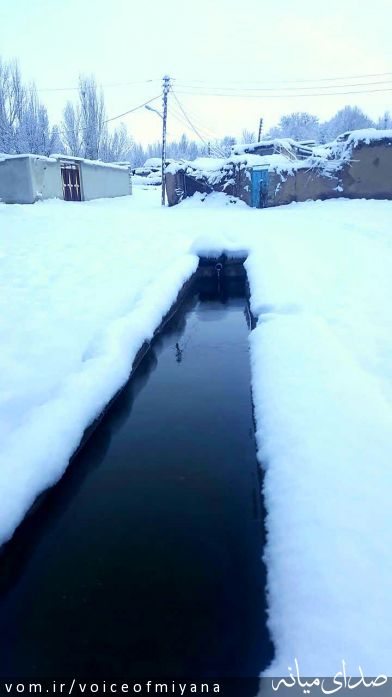 تصویر صدای میانه