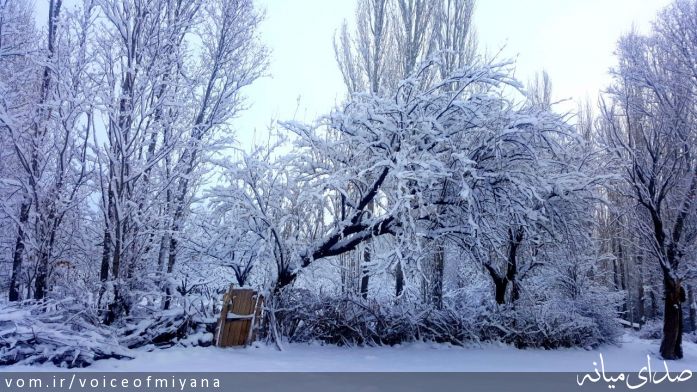 تصویر صدای میانه