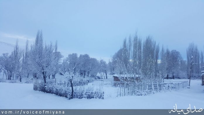 تصویر صدای میانه