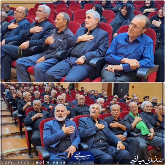 تصویر صدای میانه