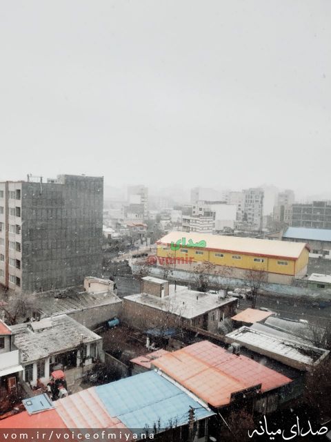 تصویر صدای میانه