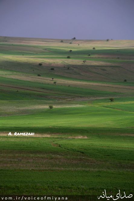 تصویر صدای میانه