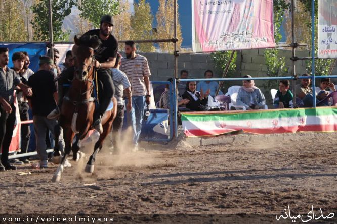 تصویر صدای میانه