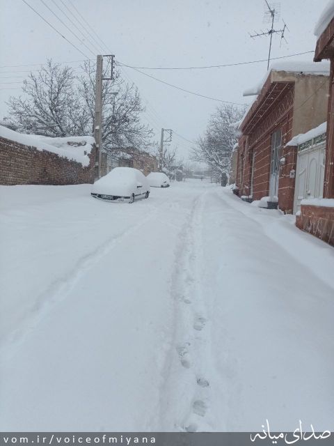 تصویر صدای میانه
