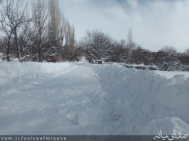 تصویر صدای میانه